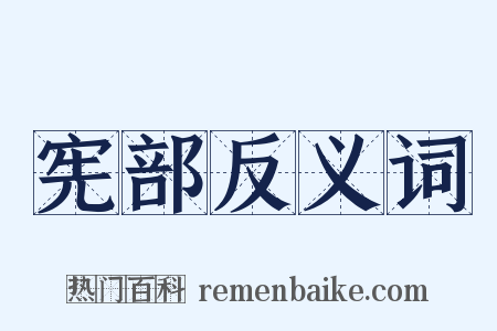 宪部反义词是什么意思的图片